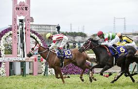 Horse racing: Reine Minoru wins Oka-sho