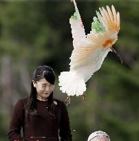 Princess Mako in Sado