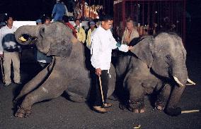 (3) 2 Thai young elephants arrive in Japan