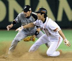 Fighters even Japan Series