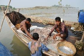 Bangladeshi lowland submerged by rising sea level