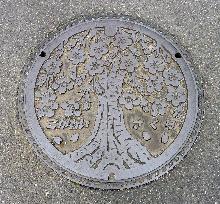 Manhole cover with cherry tree image in Koganei