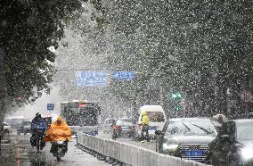 Season's first snow in Beijing