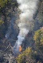 Daily apologizes for story on airborne radiation after Fukushima fire