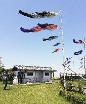 Whale-shape windsocks