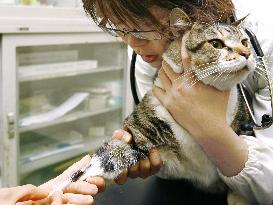 Cancer screening method for cats developed