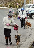 Rescued pets in Fukushima