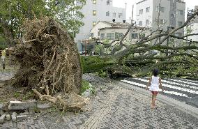 (3)Typhoon pounds western Japan