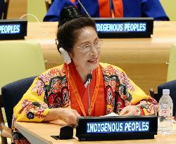 1st U.N. indigenous peoples' conference