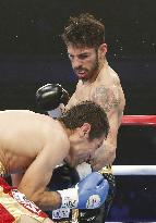 Venezuelan Linares wins WBC lightweight title