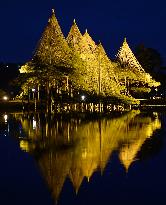 Pine trees lit up in Kanazawa's famed Kenroku-en Garden