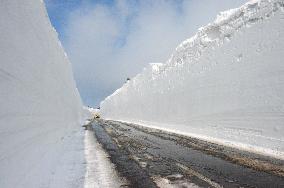 "Snow corridor" completed in Aomori