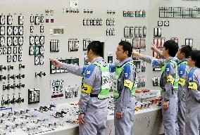 Japan regains nuclear power supply under post-Fukushima regime