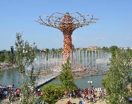 Water and music show held at Expo Milano "Tree of Life"