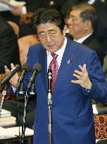 Abe wants electoral reform before next lower house poll