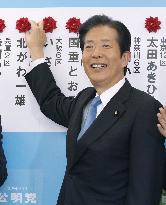 Japan's lower house election