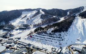 Pyeongchang Olympics