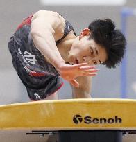 Gymnastics: Japan all-round title