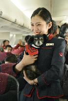 Owners, dogs travel together on special Japan Airlines tour