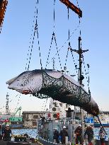 "Research whaling" starts off Hokkaido