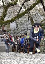 Step-climbing contest at Japanese temple