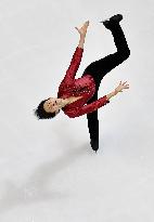 Figure skating: Japanese national c'ships