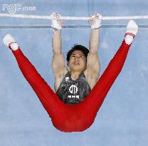 Gymnastics: Japan all-round title