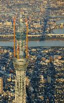 Tokyo Sky Tree tower on solstice day