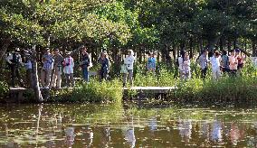 Shiretoko area to regulate visitors for bears