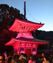 Temple pagoda lit in pink for breast cancer awareness blitz