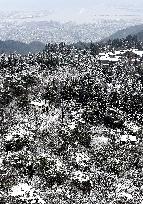 Japan's Mt. Rokko covered with snow