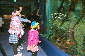 Iwate aquarium destroyed in 2011 tsunami reopens after 5 years