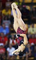 Olympics: Japan's Itahashi 8th in platform diving final