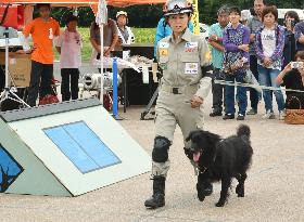 Rescue dog becomes PR ambassador of disaster-hit Fukushima village