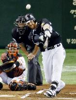 Former Hanshin Tiger Murton retires