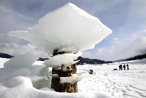 'Mushroom ice' in Hokkaido