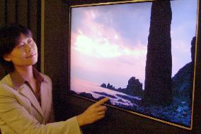 Sharp's LCD monitor has contrast ratio of 1 mil. to 1