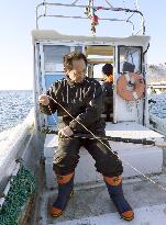 Sea lion hunter checks harpoon off Hokkaido, northern Japan
