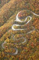 Winding road decorated with colorful autumn leaves