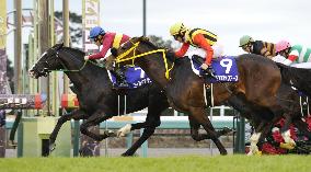 Gold Actor steals the show to win Arima Kinen