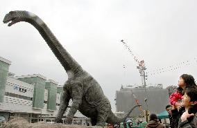 Full-scale dinosaur statue installed in Fukui