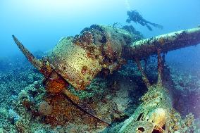 Japan's WWII reconnaissance plane lies on seabed off Palau island