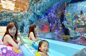 Spa resort in northeastern Japan town unveils new attraction