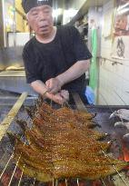 Customary eel-eating day in Japan