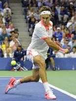 Federer beaten by Djokovic in U.S. Open final