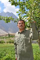 Farmer grows Japanese apples in northern Pakistani village