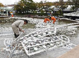 Kobe Luminarie's structure collapsed