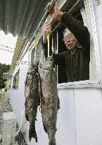 Dried salmon hang outside of temporary housing unit