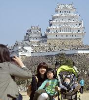 Renovated Himeji Castle reopens to public