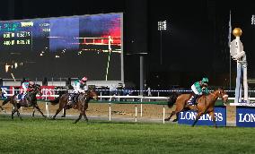 Japan Derby winner One &amp; Only 3rd in Dubai Sheema Classic race